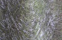 Ventonleague fibreglass roof work